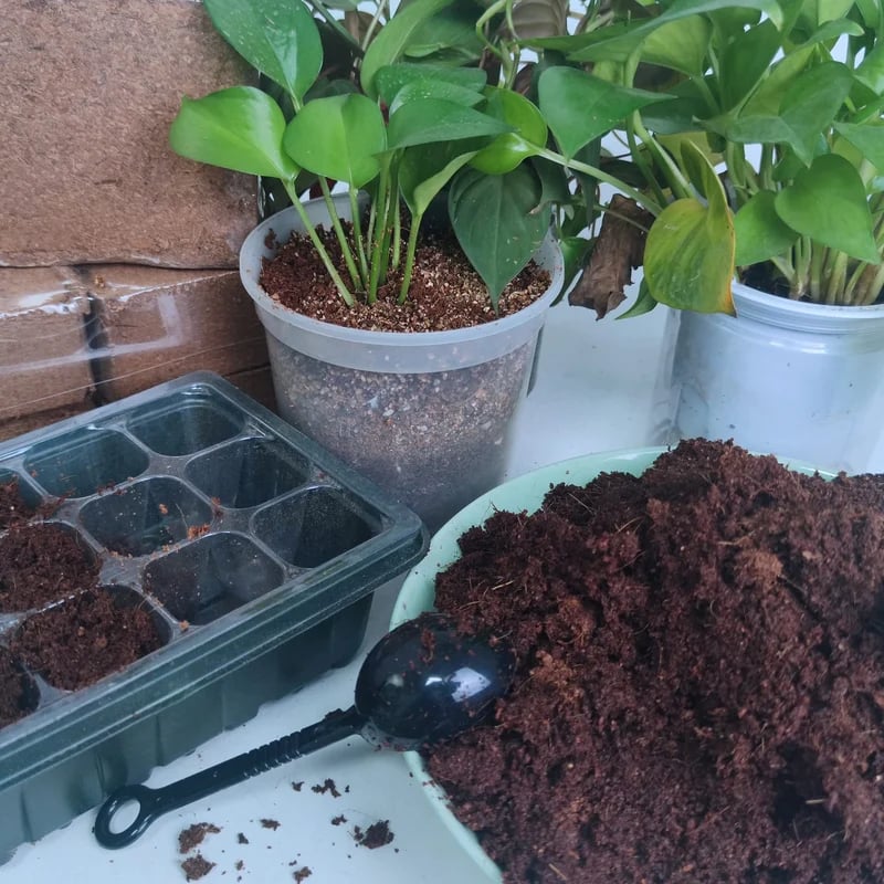 š„LAST DAY 50% OFFš±Premium Organic Coconut Coir Bricks for Plants